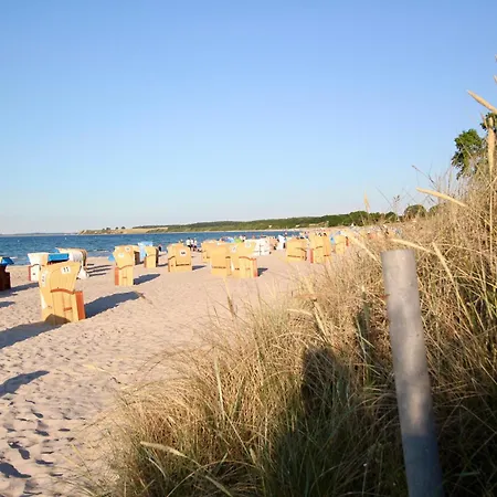 Seiler Διαμέρισμα *